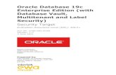 Oracle Database 19c Enterprise Edition (with Database Vault ......Oracle Database 19c Enterprise Edition (with Database Vault, Multitenant and Label Security) Security Target Evaluation