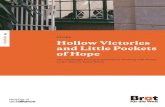 STUDY Hollow Victories and Little Pockets of Hope...Analysisff94 STUDY Hollow Victories and Little Pockets of Hope The Challenges Facing Organisations Working with People on the Move
