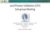 Land Product Validation (LPV) Sub-group Meeting · 2021. 3. 4. · Leaf off (10/9/2019) Leaf on (26/06/2020) Sentinel-2 (8ANIR) Variogram. 6 Albedo ICOS data ICOS 2020-1 Level2 Ecosystem