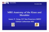 MRI Anatomy of the Knee and Shoulder–‡献资料... · 2017. 12. 31. · MRI Anatomy of the Knee and Shoulder James Y. Song, UC San Francisco MSIV Gillian Lieberman ... Gillian