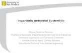 Ingeniería Industrial Sostenible · 2020. 9. 28. · solución de las mismas por medio de la Investigación Acción Participativa (IAP) y en la gestión de la vinculación de actores