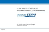 SENAI Innovation Institute for Integrated Solutions in … 7... · 2014. 9. 9. · © SENAI-RS SENAI Innovation Institute for Integrated Solutions in Metalmechanics Dr. Ronald Josef