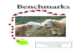 Benchmarks - SCWTCA · 2020. 7. 11. · many rescue dog successes. You’ll nod your head and chuckle when you read Lulu’s adventures. I hope your days are long and your hearts