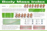 Body Mass Index - BMI-Club · Quetelet to evaluate the body mass. One urban myth is the origin of BMI at american assurance. They shall have invented the Body Mass Index to calculate
