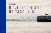 Illicit tobacco in Australia