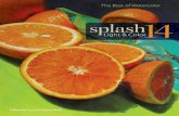 Splash 14 - The Best of Watercolor : Light & Color