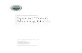 Special Town Meeting Guide