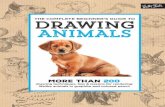 The Complete Beginnerâ€™s Guide to Drawing Animals