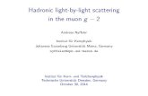 Hadronic light-by-light scattering