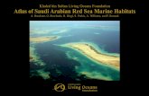 Red Sea Atlas English - Khaled bin Sultan Living Oceans Foundation