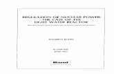 Regulation of Nuclear Power: The Case of the Light Water Reactor