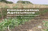 Conservation agriculture: global prospects and challenges
