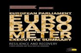 RESILIENCE AND RECOVERY - European Parliament · 2021. 7. 6. · IN A NUTSHELL The European Parliament’s Spring 2021 ... es and the economy, public health is now seen as the top