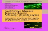 Facilitative Glucose Transporters in Articular Chondrocytes: Expression, Distribution and Functional Regulation of GLUT Isoforms by Hypoxia, Hypoxia Mimetics, ... in Anatomy, Embryology