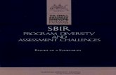 SBIR Program Diversity and Assessment Challenges