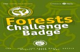 Forest Challenge Badge - Food and Agriculture Organization of the