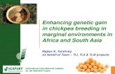 Enhancing genetic gain in chickpea breeding in marginal environments in Africa and South Asia
