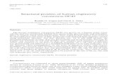 1986 Structural proteins of human respiratory coronavirus OC43