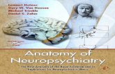 Anatomy of Neuropsychiatry - L. Heimer, et al., (AP, 2008) WW