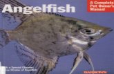 Barrons - Angelfish Guide WW