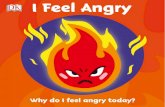 DK - I Feel Angry