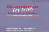 Grammar in Use Intermediate Workbook with Answers