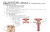 Weebly  · Web viewUrinary. System . Part . 1. Be able to describe the 9 functions of the Urinary System. What are the 4 major structures of the Urinary System? How are they physically