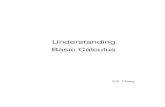 Understanding Basic Calculus