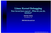 Linux Kernel Debugging - Muli Ben-Yehuda