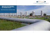 Survey of Energy Resources: Focus on Shale Gas - World Energy Council