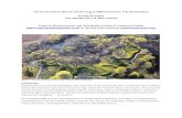 The Great Serpent Mound and the August 2003 Crop Circle: A Re