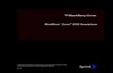 BlackBerry 8530 Basics - Sprint
