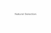 Natural Selection - Welcome to SEPUP: Science Education for Public