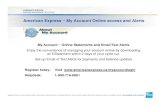American Express ~ My Account Online access and Alerts
