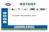 01. Plant morphology Theory - Career Point Kota : India's Leading