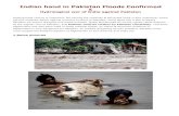 Indian hand in Pakistan Floods Confirmed