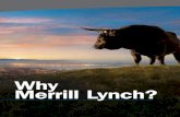 Why Merrill Lynch?