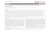 Vector-borne helminths of dogs and humans in Europe