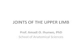 JOINTS OF THE UPPER LIMB - Login