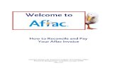 How to Reconcile and Pay Your Aflac Invoice 051209