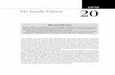 File Transfer Protocol 20