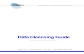 Data Cleansing Guide