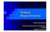 Wetland Biogeochemistry - South China Sea Project - SCS Home