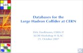 Databases for the Large Hadron Collider at CERN