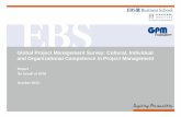 Global Project Management Survey: Cultural, Individual and