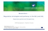 Biosimilars â€“ Regulation strategies and pathway in the EU (and US)