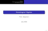 Homological Algebra - Staff Homepages - - Newcastle University