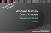 Windows Memory Dump Analysis - Software Diagnostics Services