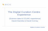 The Digital Curation Centre Experience