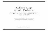 Cleft Lip and Palate - Welcome | The Center for Children with